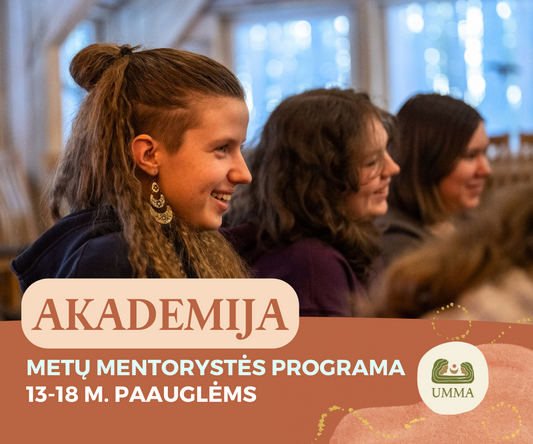 Metų mentorystės programa